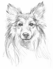 Constant Companion II