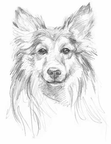 Constant Companion II