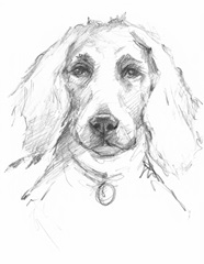 Constant Companion III