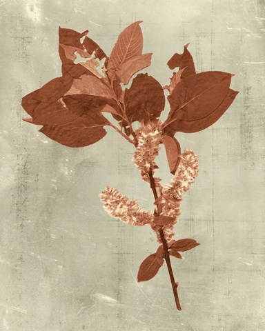 Impressions in Terra Cotta