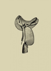 Antique Saddle I