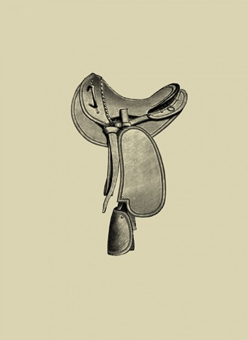 Antique Saddle I