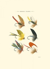 Bass Flies I