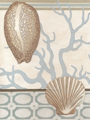 Coastal Tranquility I