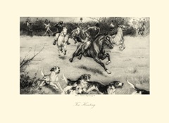 Fox Hunting