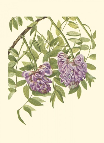 Garden Potpourri VII