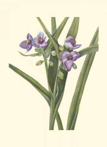 Garden Potpourri VIII