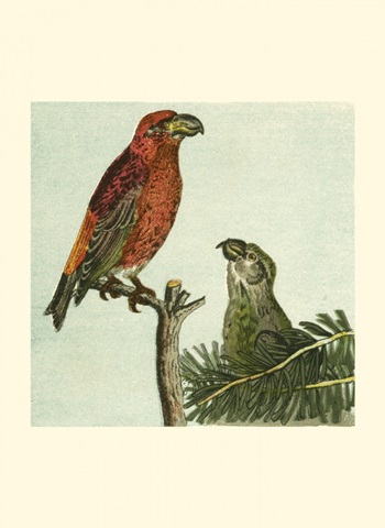 Mini Vintage Birds I