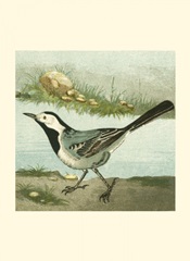 Mini Vintage Birds VI