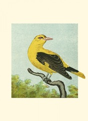 Mini Vintage Birds X