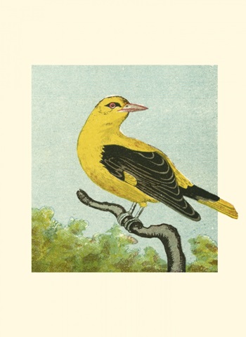 Mini Vintage Birds X