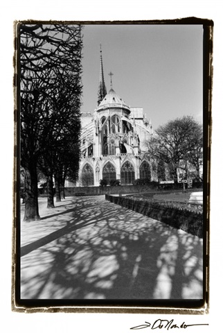 Notre Dame Cathedral I