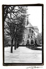 Notre Dame Cathedral IV