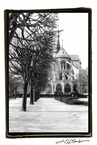 Notre Dame Cathedral IV