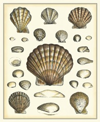 Of Sea and Shore III