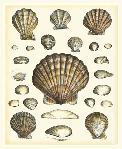 Of Sea and Shore III