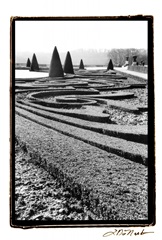 Palace of Versailles Garden II