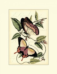 Petite Butterflies I