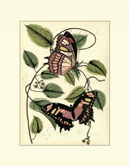 Petite Butterflies IV