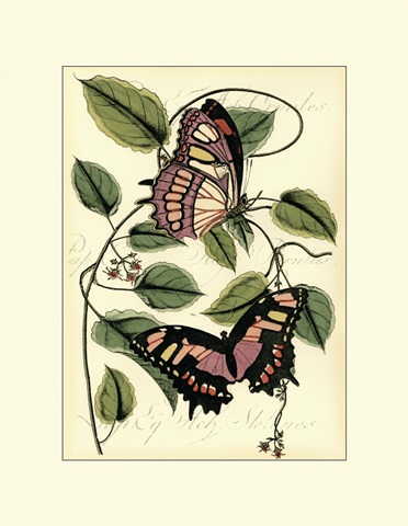 Petite Butterflies IV
