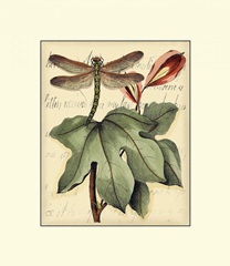 Petite Dragonflies II