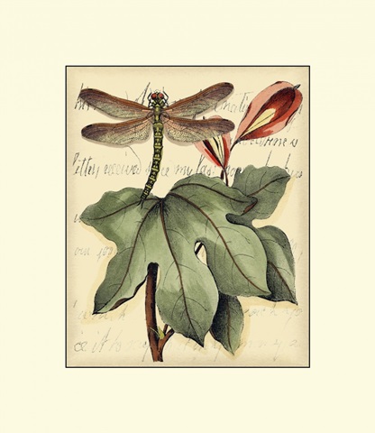 Petite Dragonflies II