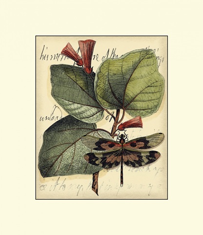 Petite Dragonflies VI