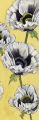 Poppy Vine II