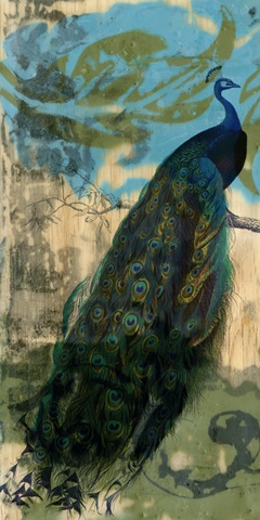 Rustic Peacock I