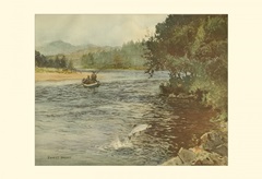 Salmon Fishing