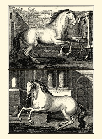 Galloping Horses II