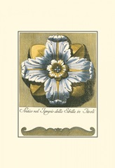 Blue and Yellow Rosette III