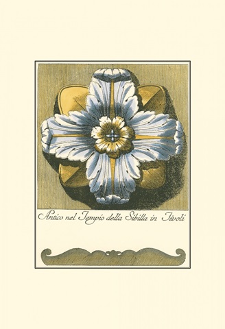 Blue and Yellow Rosette III