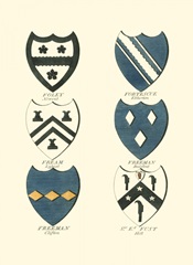 Coat of Arms I
