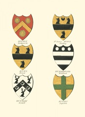 Coat of Arms II