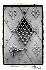 Distinguished Doors I