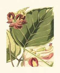 Fantastical Botanical I