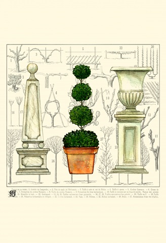 Garden Topiary