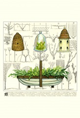 Garden Trug