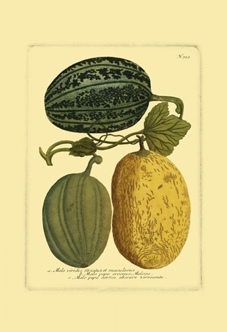 Antique Melons I