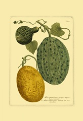 Antique Melons II