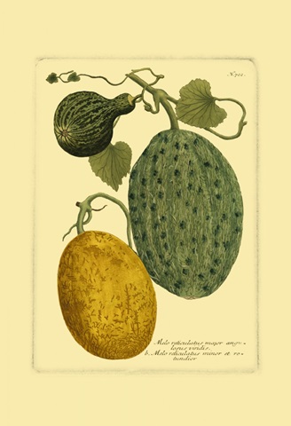 Antique Melons II