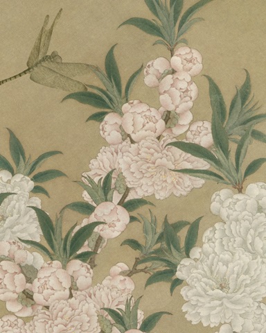 Cherry Blossoms and Dragonfly