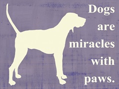 Dogs are miracles with paws