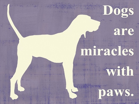 Dogs are miracles with paws