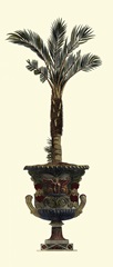 Elongated Potted Palm I