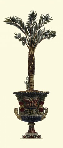 Elongated Potted Palm I