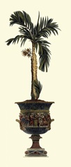 Elongated Potted Palm II