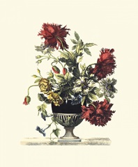 Flowers for June II