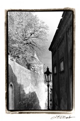 Glimpses of Prague II